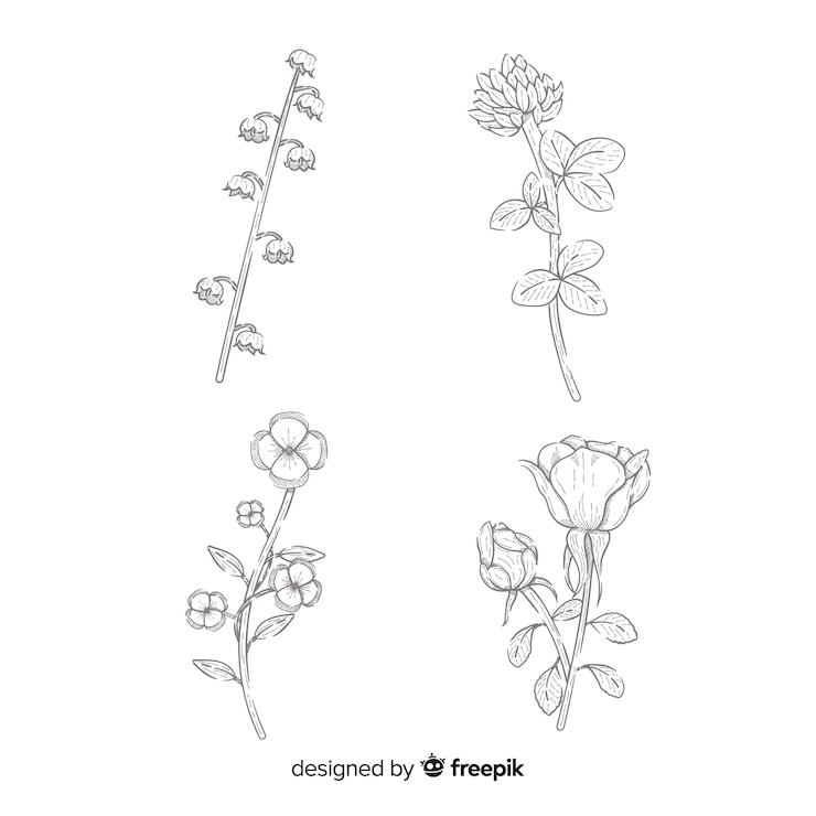 Vector gratuito dibujo de colección de flores realista