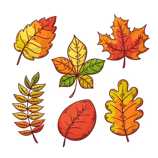Dibujo de colección de hojas de otoño