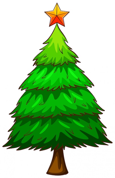 Un dibujo coloreado de un pino