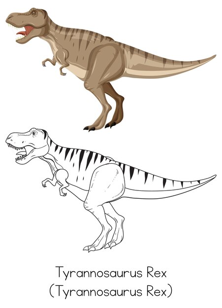 Dibujo de dinosaurio del tiranosaurio rex