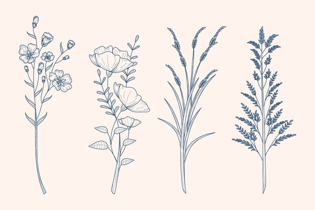 Dibujo de hierbas y flores silvestres en estilo vintage