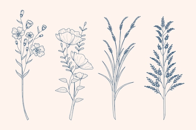 Dibujo de hierbas y flores silvestres en estilo vintage