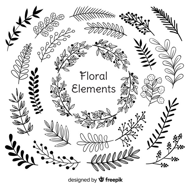 Dibujo a mano de elementos de decoración floral