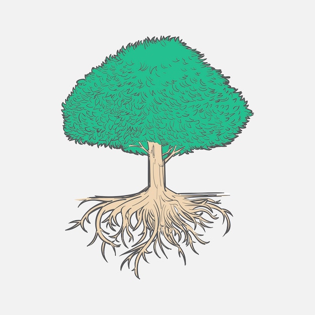 Dibujo a mano ilustración del concepto de desarrollo