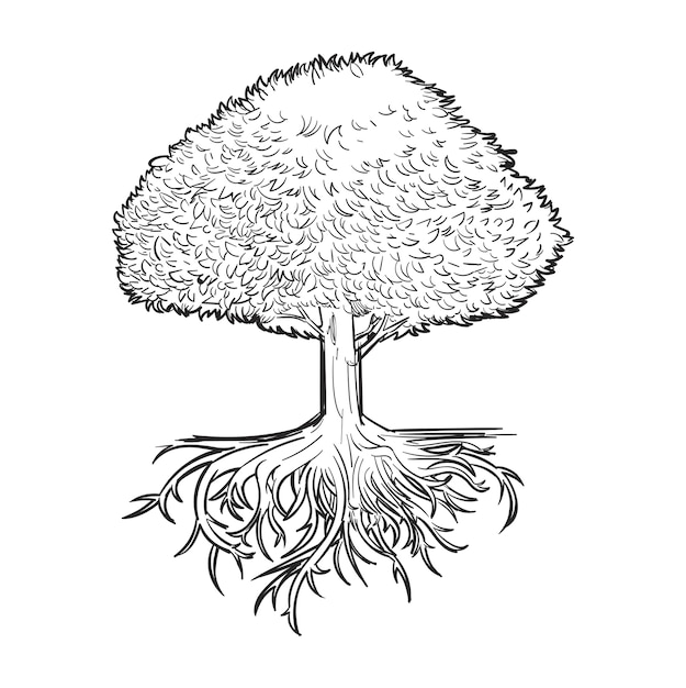 Dibujo a mano ilustración del concepto de desarrollo