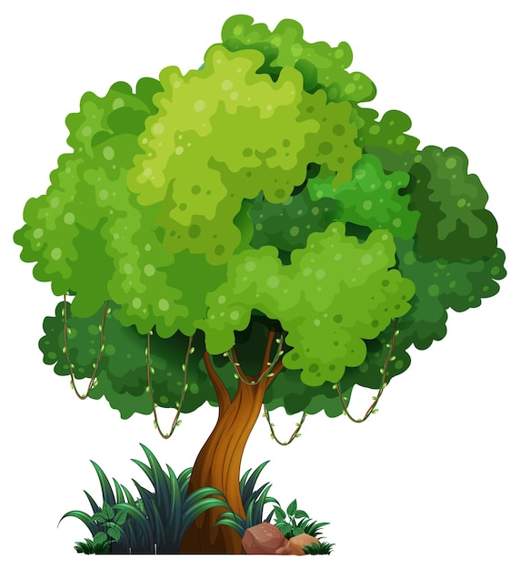 Dibujos animados aislados de árbol grande