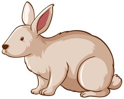 Vector gratuito dibujos animados de animales de conejo blanco sobre fondo blanco