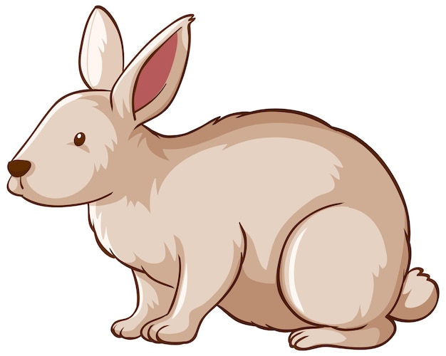 Dibujos animados de animales de conejo blanco sobre fondo blanco