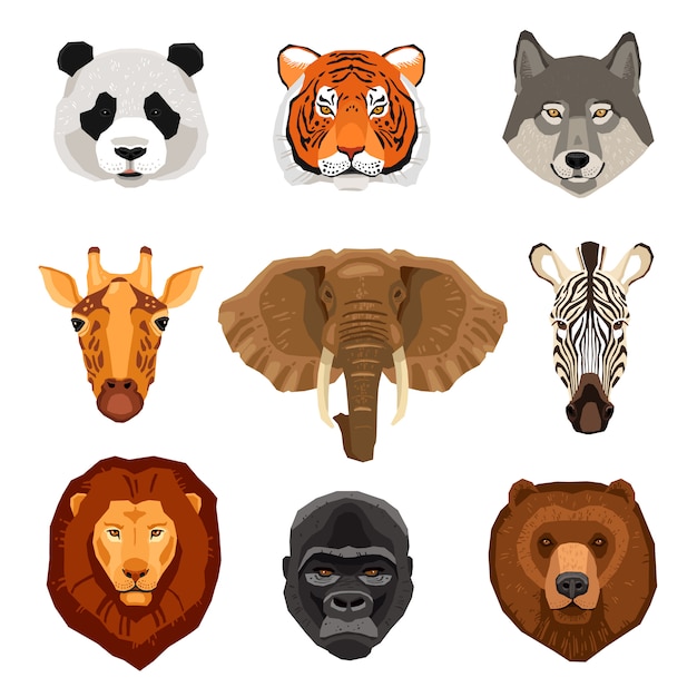Dibujos animados animales retratos conjunto