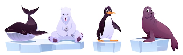 Dibujos animados de animales salvajes en témpanos de hielo ballena de mar, oso blanco, pingüino y foca.