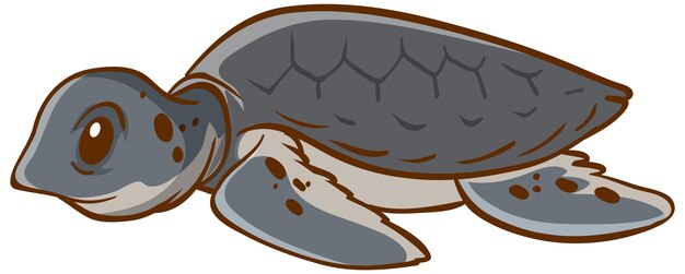Dibujos animados de animales tortuga sobre fondo blanco