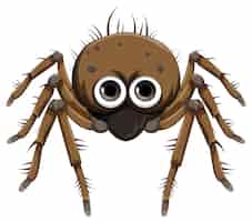 Vector gratuito dibujos animados de araña marrón aislado