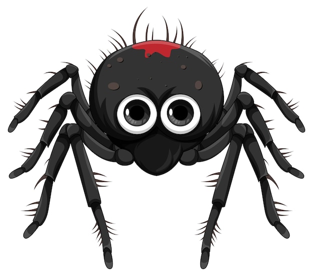 Dibujos animados de araña negra aislado
