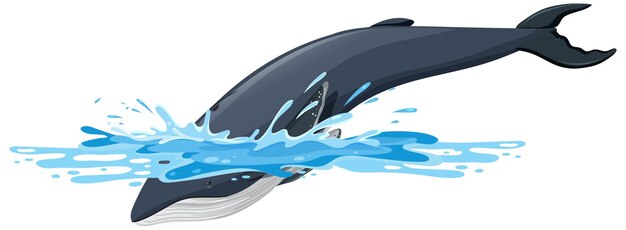 Dibujos animados de ballena jorobada sobre fondo blanco