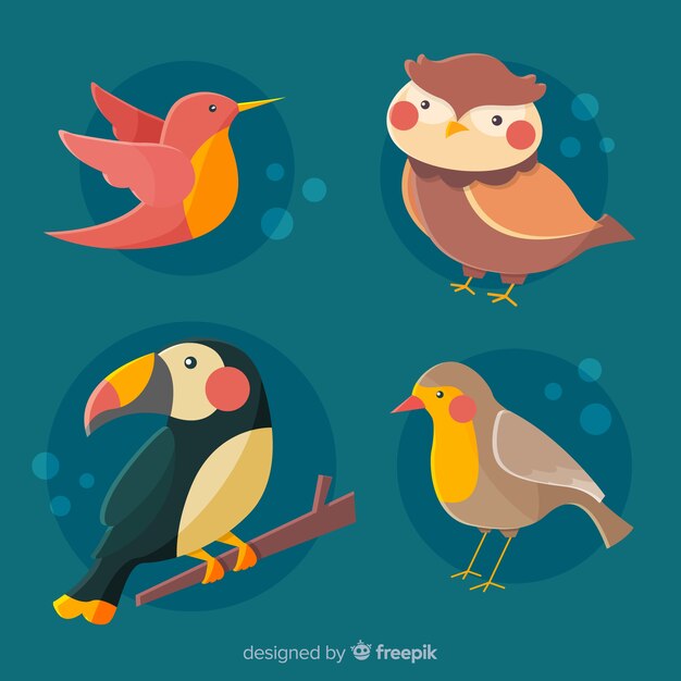 Dibujos animados de colección de pájaros lindos dibujar