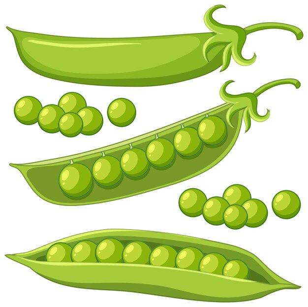 Dibujos animados de guisantes verdes aislados