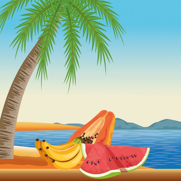 Dibujos animados icono de frutas tropicales exóticas