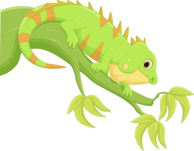 Dibujos animados de iguana | Vector Premium