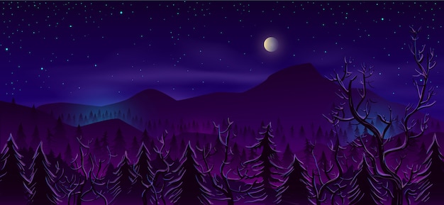 Dibujos animados de paisaje de noche de tierra del norte salvaje