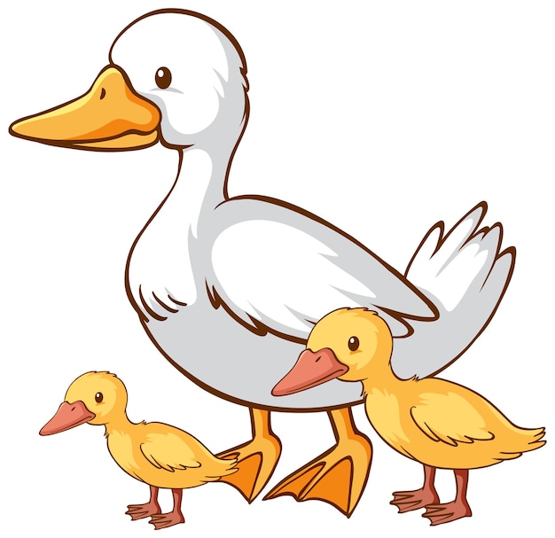 Dibujos animados de pato madre y bebé sobre fondo blanco