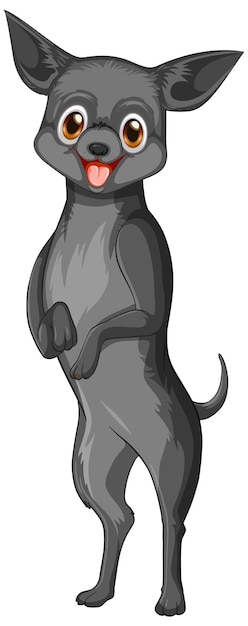 Dibujos animados de perro chihuahua negro sobre fondo blanco