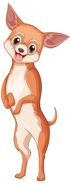 Dibujos animados de perro chihuahua sobre fondo blanco
