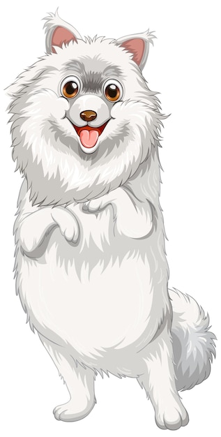 Dibujos animados de perro pomerania sobre fondo blanco