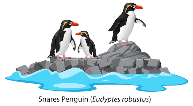 Vector gratuito dibujos animados de pingüinos de trampas en la roca