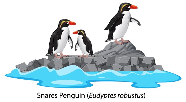 Dibujos animados de pingüinos de trampas en la roca