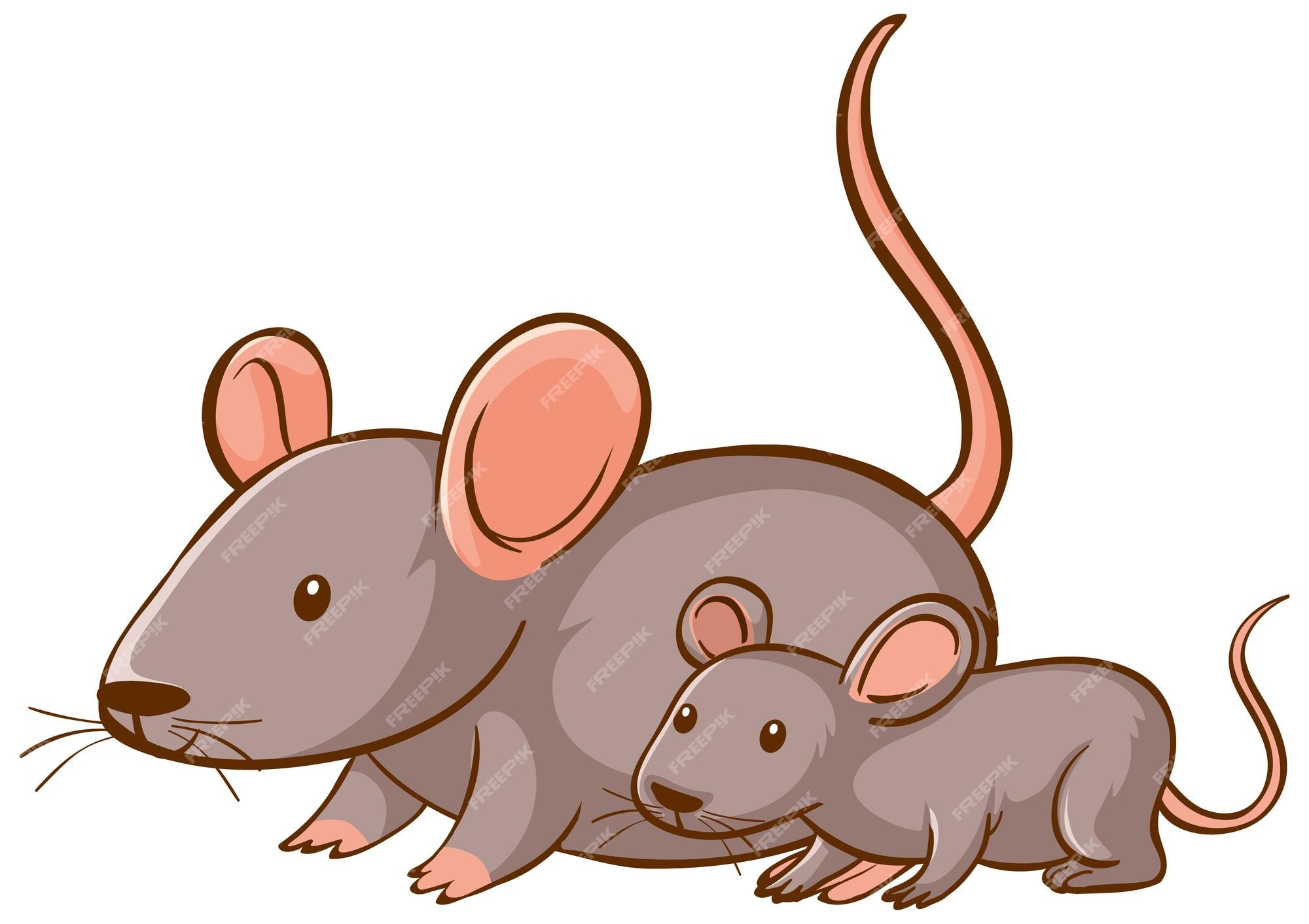 Dibujos animados de ratón madre y bebé sobre fondo blanco | Vector Gratis Dibujos animados de ratón madre y bebé sobre fondo blanco | Vector Gratis
