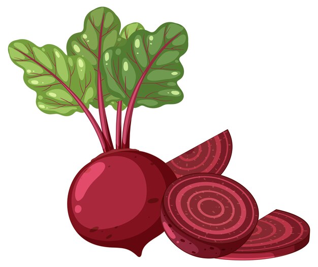 Dibujos animados de remolacha vegetal aislado