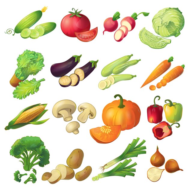 Dieciséis iconos vegetales maduros de dibujos animados realistas aislados conjunto coloridos con rodajas
