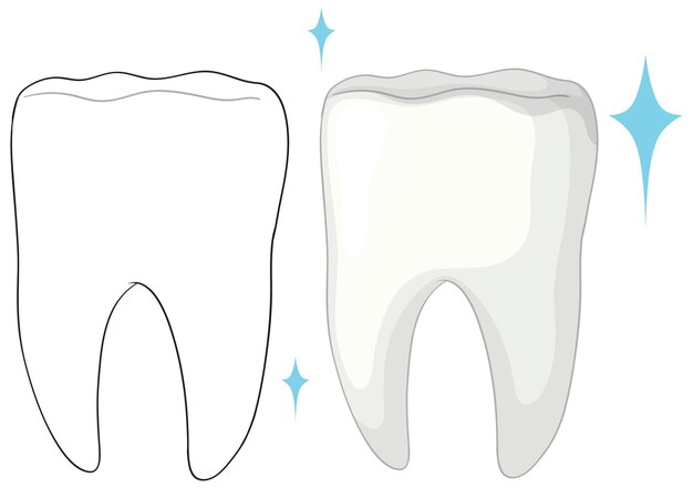Los dientes sanos con un brillo brillante