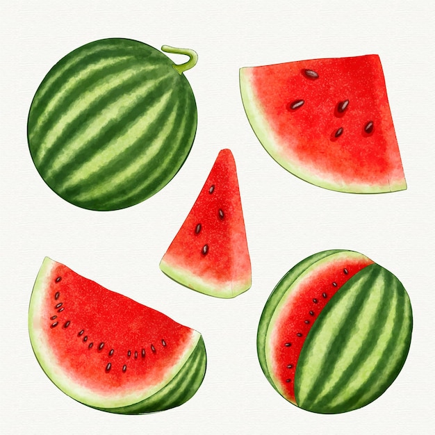 Diferentes ángulos de fruta de sandía.