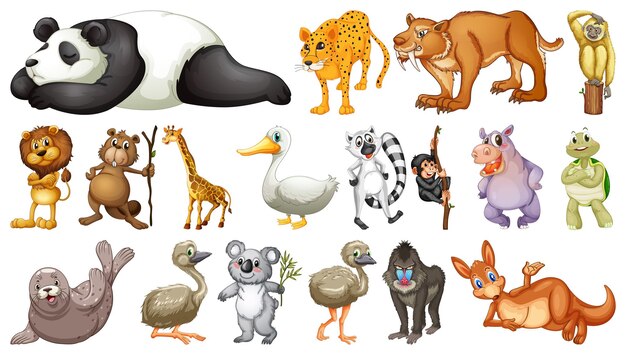 Diferentes animales salvajes sobre fondo blanco.