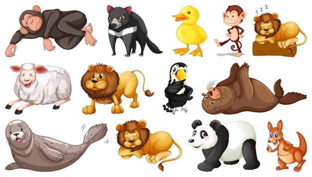 Diferentes animales salvajes sobre fondo blanco.