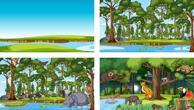 Diferentes escenas de la naturaleza del bosque y la selva tropical con animales salvajes.