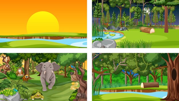 Diferentes escenas de la naturaleza del bosque y la selva tropical con animales salvajes.