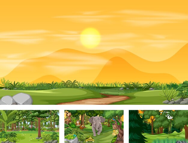 Diferentes escenas de la naturaleza del bosque y la selva tropical con animales salvajes.