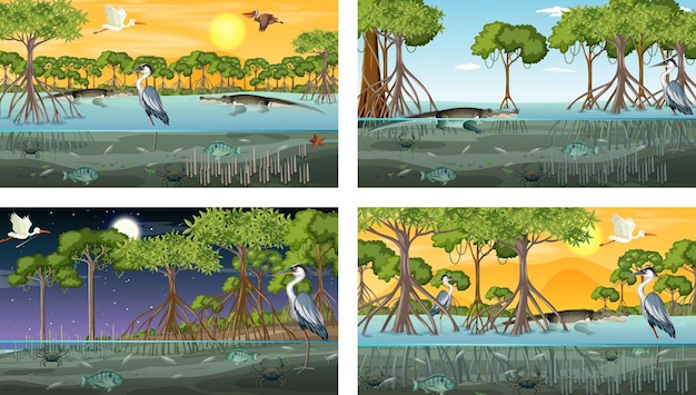 Diferentes escenas de paisajes de bosques de manglares con animales y plantas.