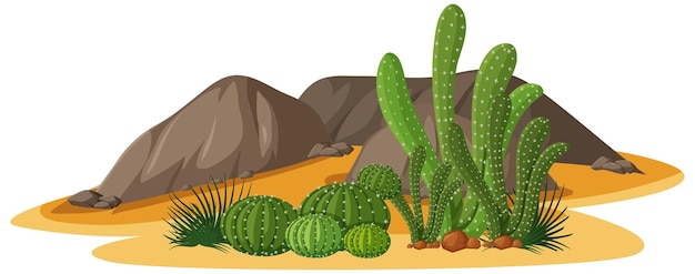 Diferentes formas de cactus en un grupo con elementos de rocas.
