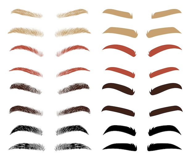 Diferentes formas y colores de conjunto de ilustraciones vectoriales de cejas