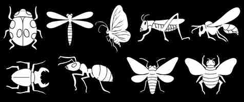 Vector gratuito diferentes insectos