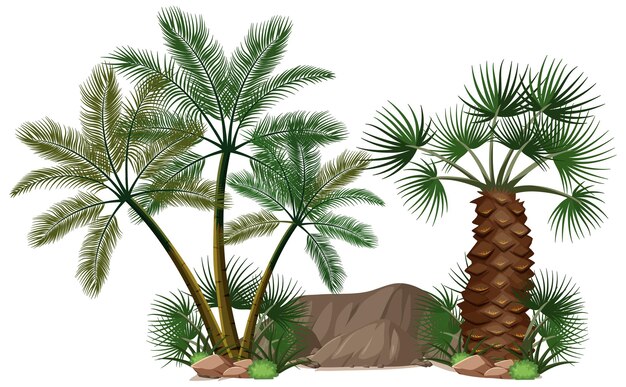 Diferentes palmeras con elementos de la naturaleza.