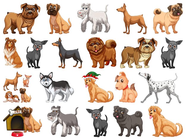 Diferentes perros divertidos en estilo de dibujos animados aislado sobre fondo blanco.