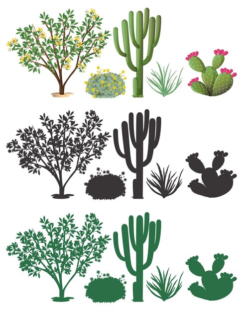 Diferentes plantas con silueta.