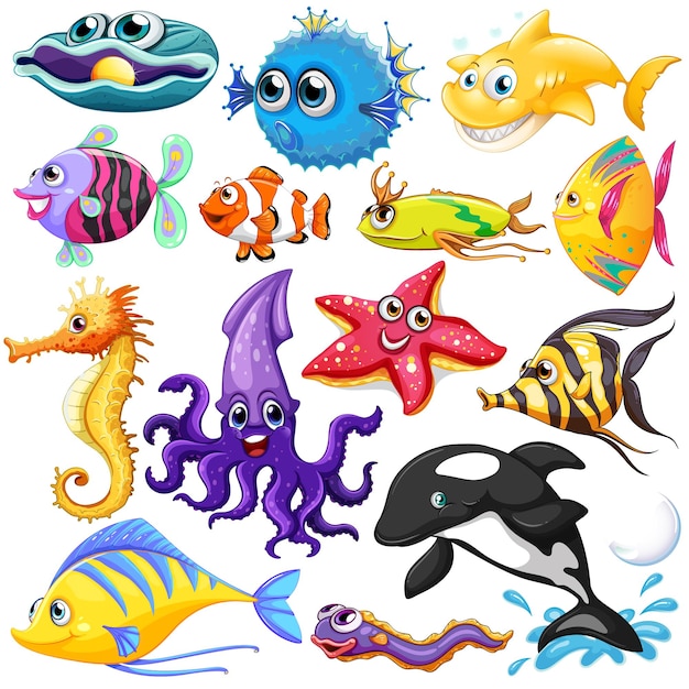 Diferentes tipos de animales marinos