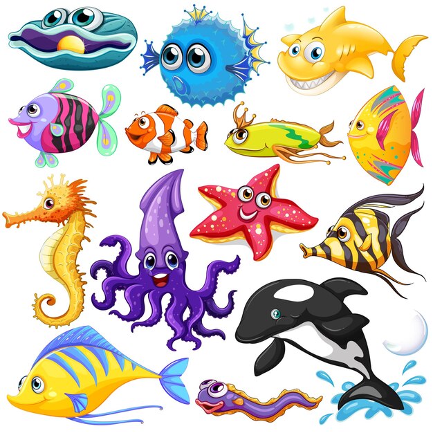 Diferentes tipos de animales marinos.