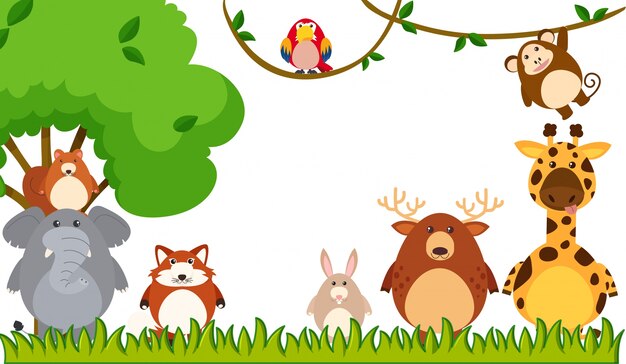 Featured image of post Infantil Animales De La Selva Vector