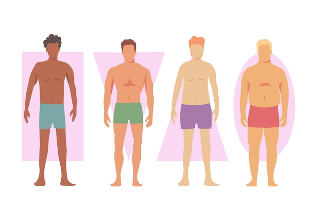 Vector gratuito diferentes tipos de formas del cuerpo masculino.